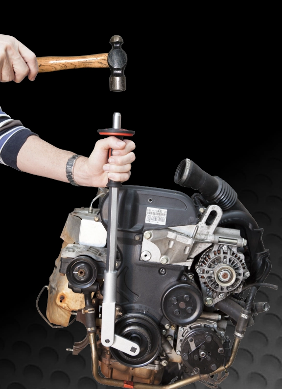 PBT Distributors Banner 2 576x793px PBT Distributors Banner 2 576x793px